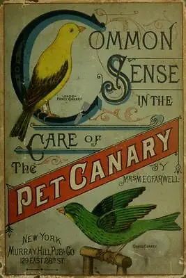 82 Rare Cage Bird Books On Dvd - Canary Breeding Budgie Finch Parrot Bird Aviary • £4.85