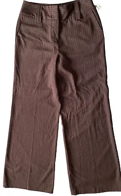 Vertigo Paris Womens Size 14 Dress Pants Brown Pinstripe Hi-Rise Wide Legs • $19.95