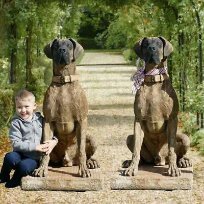 Pair Of Life-size Great Dane Statue • £2643.85