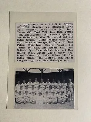 Quantico Marine Corps Schools Virginia 1951 Baseball Team Picture • $16