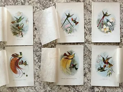 Lot Of 6 Vintage Color Exotic Hummingbird Bookplates Prints Fancy Feathers 5”x7 • $14.99