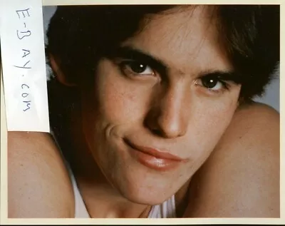 Matt Dillon  8x10 Photo B7628 • $10.50