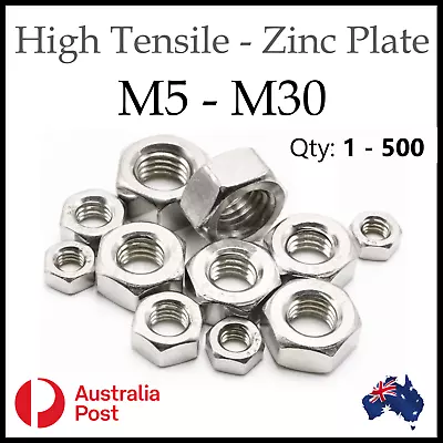 Hex Nut S Standard M5 M6 M8 M10 M12 M14 M16 M20 M24 M30 Screws High Tensile Zinc • $15.50