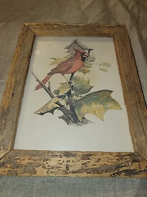  Cardinal  Bird Print By Ralph McDonald (R.J.) In Wood Frame 10 1/2 By 8 1/2 • $32.99