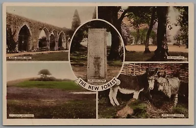 New Forest Hampshire Multiview England Vintage Unposted Postcard • £5