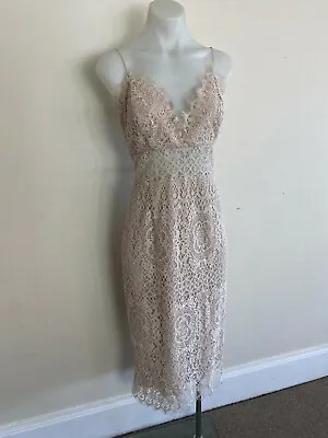 $42 • Buy ASOS Beige Lace Midi Party Evening Dress NWT Size 14