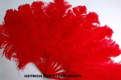 $279.99 • Buy LARGE OSTRICH FAN - RED Feathers 50  X 30  Sally Rand/Burlesque/Costume/Show
