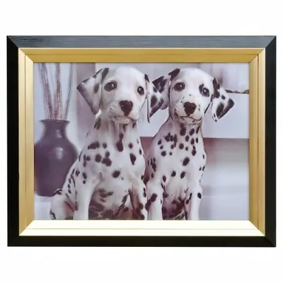 Dog Picture  Hologram Framed Picture Of Two Cute Dalmations Frame Black And Gold • £19.99