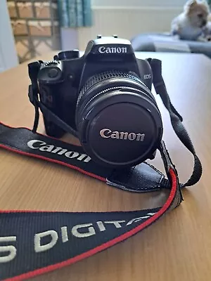 Canon EOS 1000D • £80