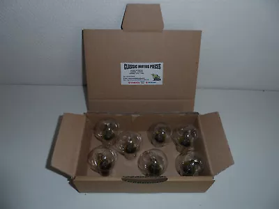 125 Dtmx Yamaha 1977/1993 Pack Of 7 Light Bulbs Headlight 6 Volt 35/35W • $60.62