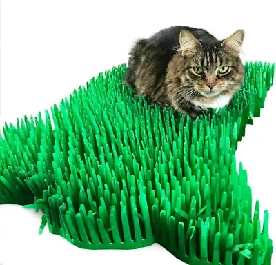 Cat Toy Tissue Paper Grass Mats Green Interactive Kitten Indoor Pet Toys • £6.99