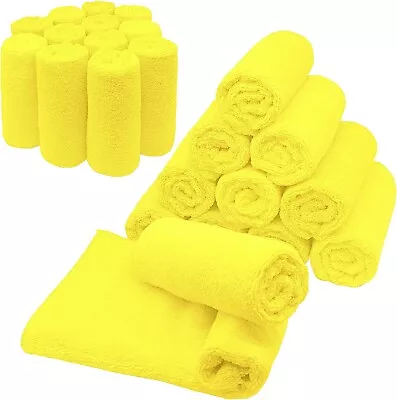Microfiber Cleaning Cloth Set Of 24 Towel Rag Car Polishing Detailing No-Scratch • $23.87
