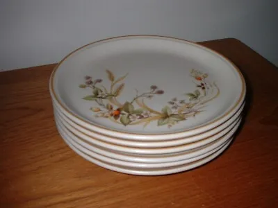 Marks And Spencer M&s Harvest 6  Dessert/salad Plates 8.5  - Exc Con • £7.99