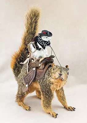 L44m Cowboy Mouse Riding Real Squirrel Cute Taxidermy Oddities Curiosities • $369.99