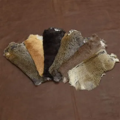 5pcs Natural Rabbit Skin Pelts Fur Hide Leather Tanned Craft For Sewing Dog Toys • $27.54