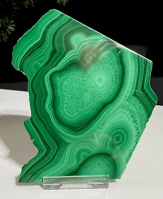 Large 11cm X 9cm Genuine Stunning Malachite Natural Crystal Beautiful Stone Slab • $42.16