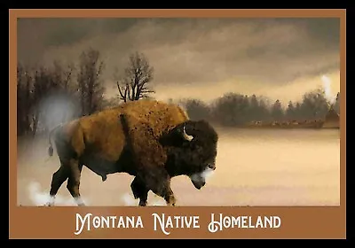 Montana Native Homeland Travel Poster 16x24 Retro  Wildlife Buffalo • $20.95