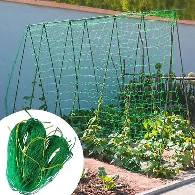 £4.55 • Buy Plant Support Mesh Garden Net Vegetable Fruit/Climbing Netting Pea Bean Trellis