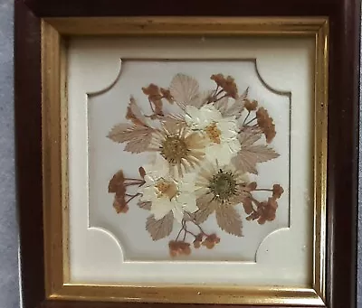£5 • Buy Joanna Sheen - Pressed Flower Picture Mounted And Framed 