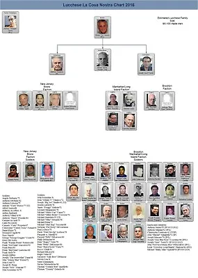 Lucchese Family Chart  8x10 Photo Mafia Organized Crime Mob Mobster Picture 2016 • $4.99