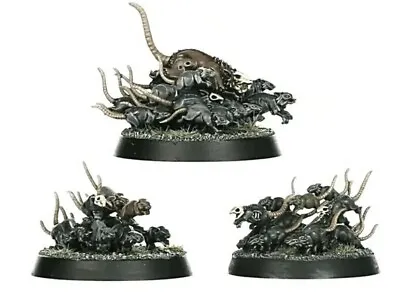 3 Corpse Rats Rat Swarms Soulblight Gravelord Warhammer Quest Cursed City Skaven • £5.99