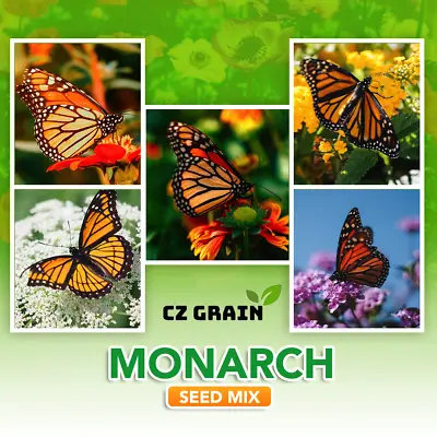 Monarch Butterfly Garden Kit - Raise Monarch Butterflies • $9.98