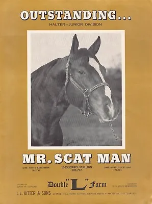 Mr. Scat Man Vtg Print Ad Double  L  Farm Outstanding Halter - Junior Division • $14