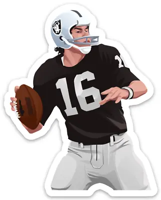 Jim Plunkett STICKER NFL Oakland Raiders Vector Image Football Sports • $5.37