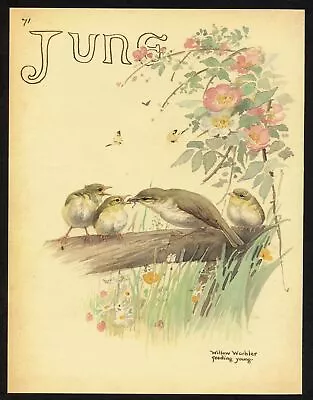 Edith Holden JUNE BABY BIRDS Vintage Repro 1906 Watercolor Botanical Print • $18