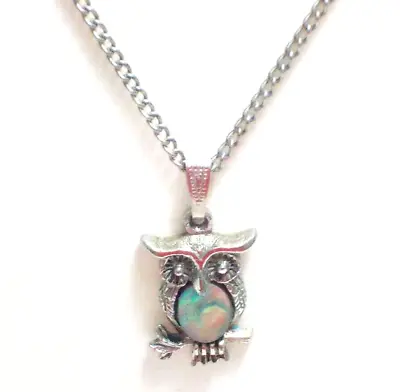 Owl Pendant Abalone Shell Necklace Silvertone Setting 18  Long Chain • $8.99