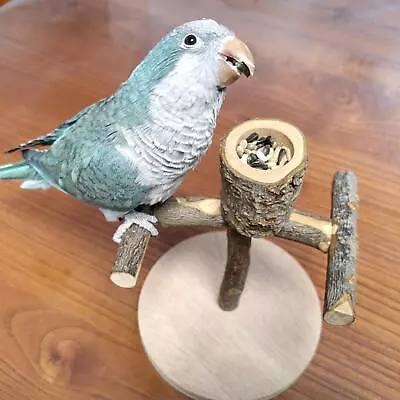 Bird Training Stand Portable Playing Durable Wood Practical Wooden Perch Toy • $15