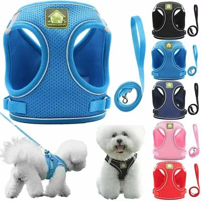 Pet Puppy Harness Breathable Mesh And Leash Set Vest Chest Strap Small Dog XS-XL • $7.99