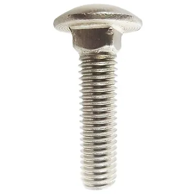 5/16-18 Carriage Bolts Stainless Steel  With Option To Add Nuts And Washers • $14.79