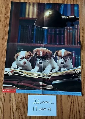 Scholastic Books Poster Doggone Clever 22x17 Vtg 90s Puppies Education Reading  • $12.95