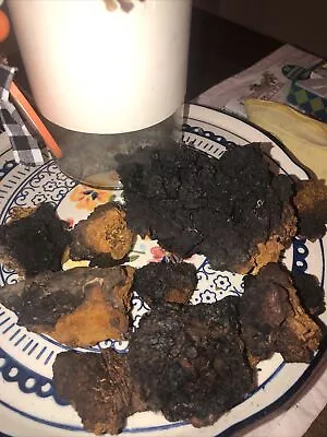 Chaga Mushroom Chunks 1 Lb • $15