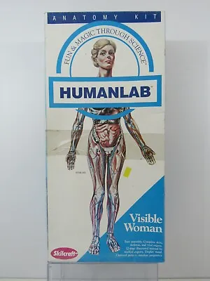 Vintage 1991 Skilcraft Humanlab Visible Woman Model Kit #4623 Complete  (Pg117C) • $50