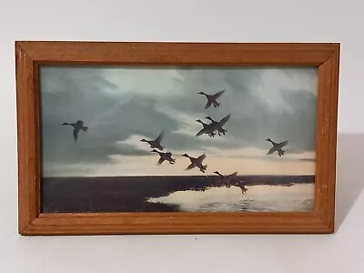 Peter Scott Vintage Duck Print  - Mallards Rising At Dawn  - Framed. • $12.33