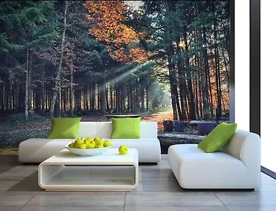 Tree Leaves Plants Forest Autumn Photo Wallpaper Mural Home Poster Decoration B • £59.99