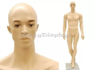 Male Fiberglass Realistic Mannequin Dress Form Display #MC-MIK07F • $189