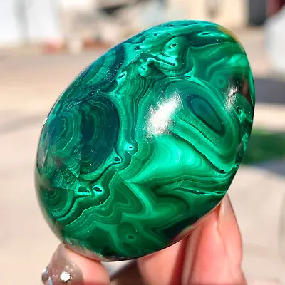 128g  Natural Glossy Malachite Egg Coarse Mineral Sample Healing • $92