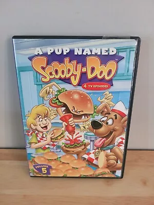 A Pup Named Scooby-Doo: Volume 5 (DVD) • $8