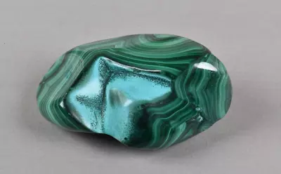 Polished Malachite With Chrysocolla From Congo  6.6 Cm   # 19927 • $22.95