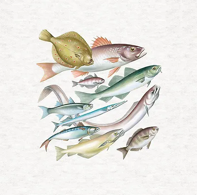 Fish - Sea Fish - Fabric Craft Panels In 100% Cotton Or Polyester • £2.45