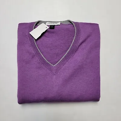 $63 • Buy CLOTHERIE PHOENIX XL Purple Cashmere & Cotton V-neck Pullover Men's Sweater NWT 