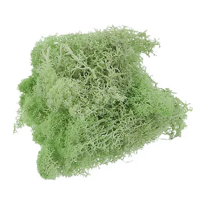 1.8 OZ Fake Moss Preserved Reindeer Moss Artificial Moss Lichen Light Green • $9.11