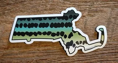 $4.95 • Buy MASSACHUSETTS Stickers Decals Trout Brown Brook Rainbow Stripers Musky Fishing