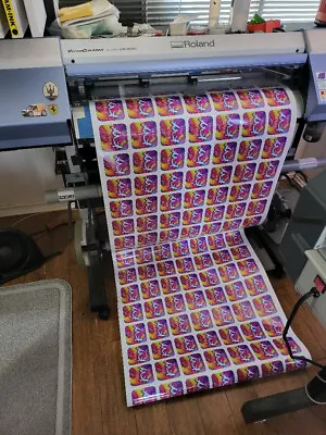 Roland VS 300i Printer/cutter • $2500