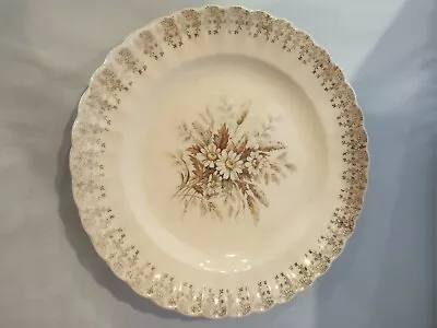 American Limoges  Sundale 1K Tudor Gold 10  Dinner Plate Set Of 3 • £14.47