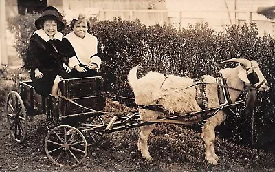 Two Happy Young Girls Riding In A Goat Cart 1910s Photo Postcard 9294 • $45