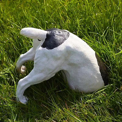 Realistic Digging Jack Russell Dog Garden Animal Ornament Lawn Statue • £32.99